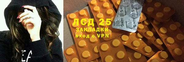 стаф Бородино