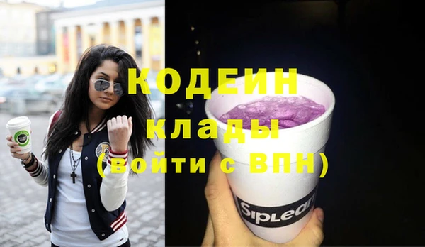 стаф Бородино