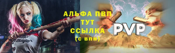 стаф Бородино