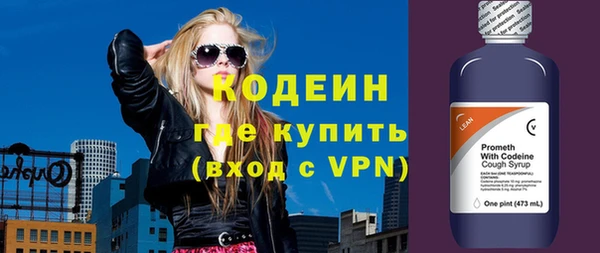 стаф Бородино