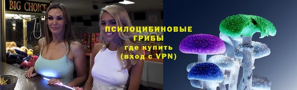 стаф Бородино
