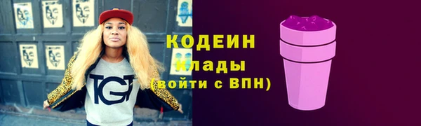 стаф Бородино