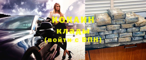 стаф Бородино